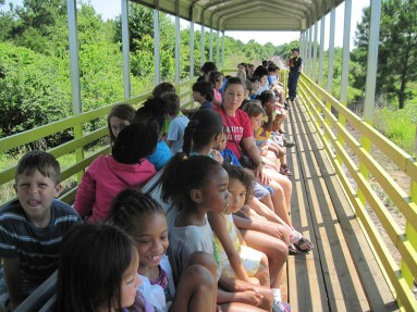 Train Rides for Your Group Train Rides for Your Group
