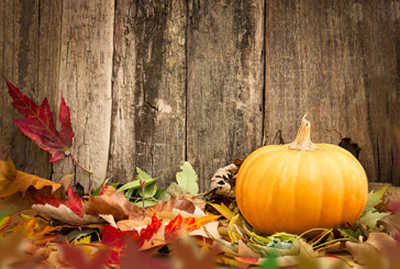 How does your family celebrate Thanksgiving? Thanksgiving-pumpkins
