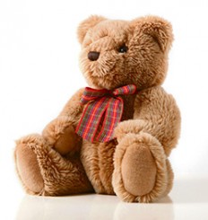 teddy_bear