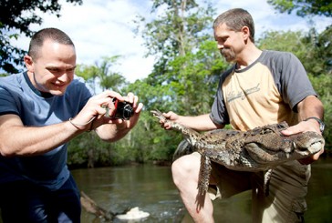 Missionaries at IMB's jungle training camp document the features of a caiman, a species of small alligator indigenous to the Amazon Basin. While living in the jungle, participants learn to identify poisonous frogs and snakes, tarantulas, scorpions and carnivorous fish. (Photo by Rebecca Springer)