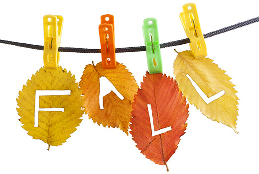fall leaves