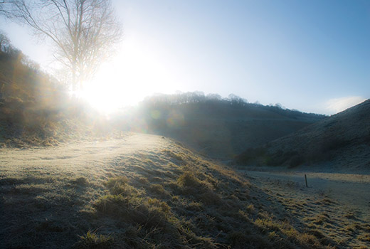 Frost on hillside