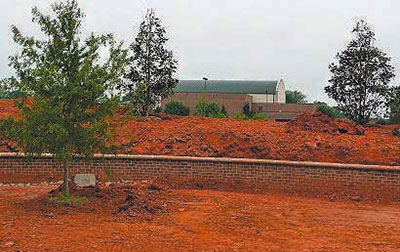 White Oak