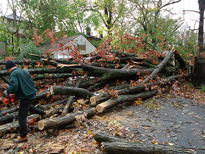 Relief volunteers